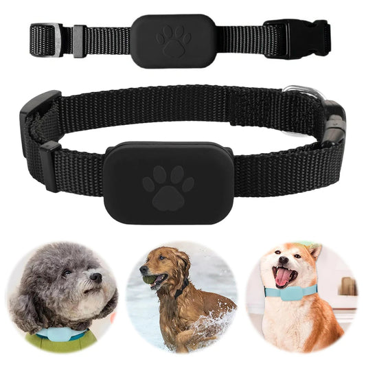 Collier traceur pour animaux — GPS/Localisation, étanche IPX, alerte mouvement, batterie longue durée