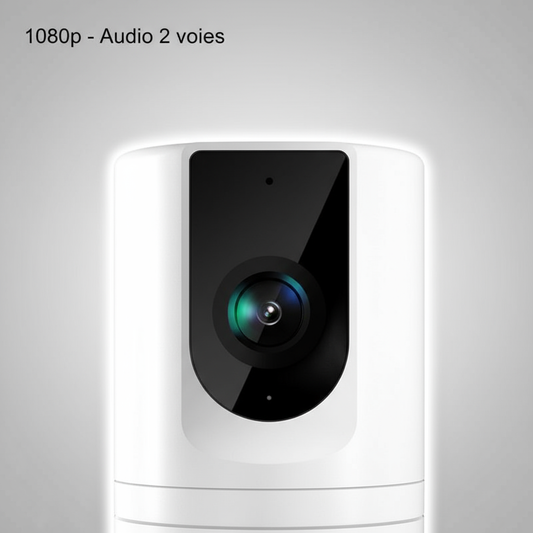 Caméra Wi‑Fi pour animaux — 1080p, vision nocturne, audio bidirectionnel, détection de mouvement﻿